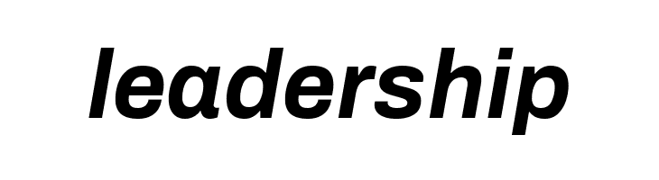 Archivo Bold Italic  Free Fonts Download