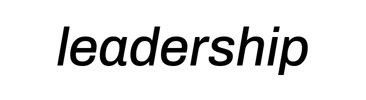 Archivo Medium Italic  Free Fonts Download