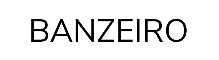 Nunito Sans Regular  Free Fonts Download