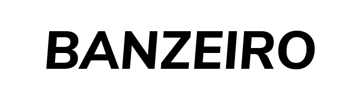 Nunito Sans ExtraBold Italic  Free Fonts Download