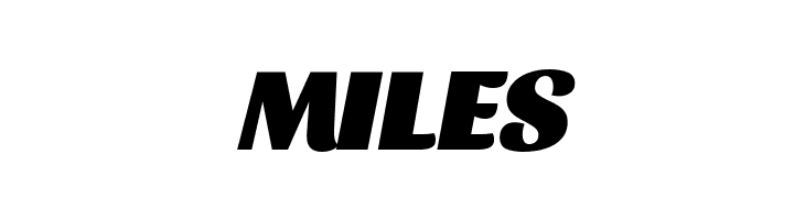 Sansita Black Italic  Free Fonts Download