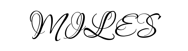 Bodega Script  Free Fonts Download