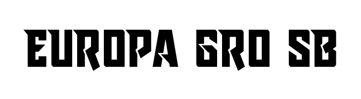 Raider Crusader Straight  Free Fonts Download