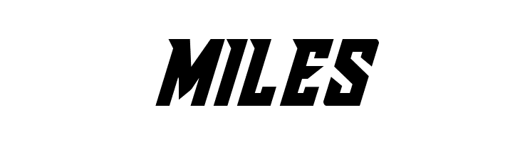 Raider Crusader  Free Fonts Download