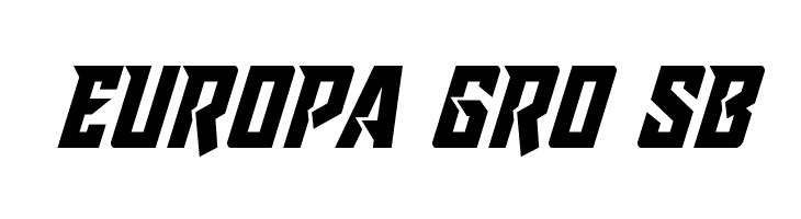 Raider Crusader  Free Fonts Download