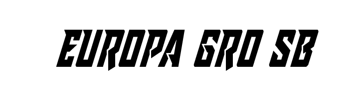 Raider Crusader Condensed  Free Fonts Download