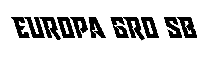 Raider Crusader Leftalic  Free Fonts Download