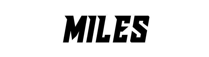 Raider Crusader Semi-Straight  Free Fonts Download