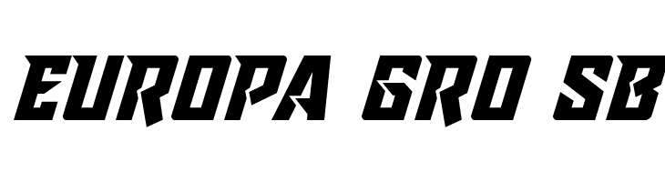 Raider Crusader Expanded  Free Fonts Download