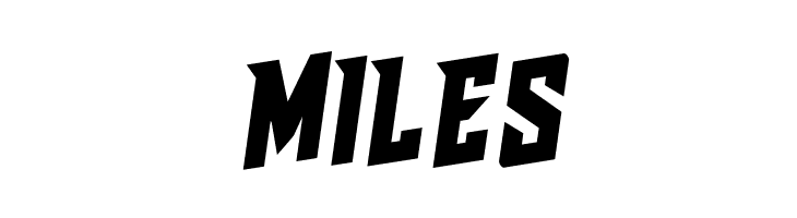 Raider Crusader Rotalic  Free Fonts Download