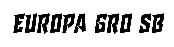 Raider Crusader Rotalic  Free Fonts Download