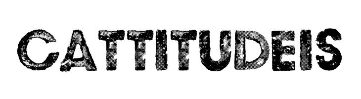 BLACK NAPKINS Personal Use  Free Fonts Download