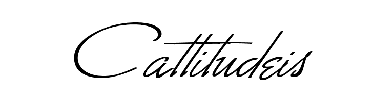 Monika Italic  Free Fonts Download