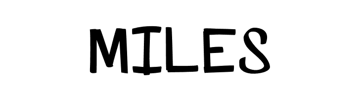 SP Marker Font  Free Fonts Download