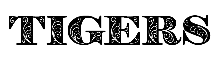 Zenone Bold  Free Fonts Download