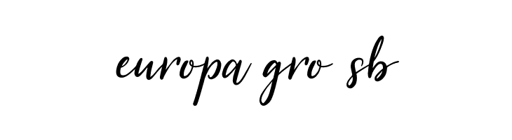 SummerFestival-Regular  Free Fonts Download