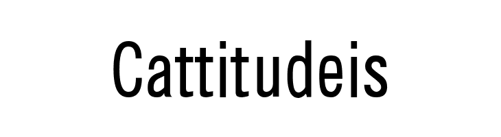 CHANL Plain  Free Fonts Download