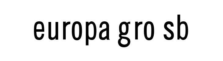 CHANL Plain  Free Fonts Download
