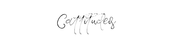 VeronaLotte  Free Fonts Download