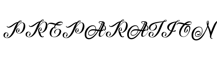 Afterschool Festival  Free Fonts Download