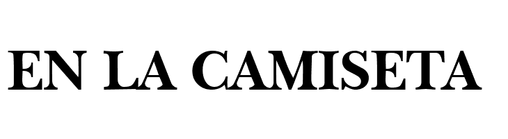 Bagad Bold Tryout  Free Fonts Download