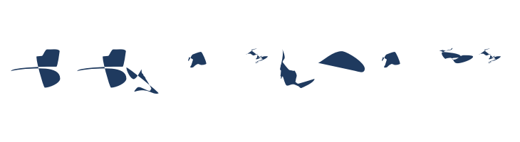 CISF Camouflage Kit III font — Lorem ipsum body text preview