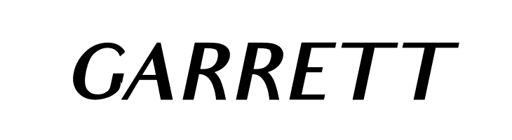 Audrey Bold Oblique  Free Fonts Download