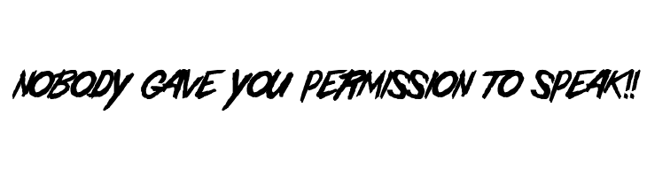 NOBODY%2BGAVE%2BYOU%2BPERMISSION%2BTO%2BSPEAK%2521%2521 Christina Gardiner Sans Font