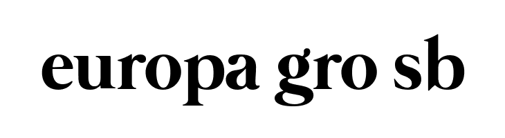 Mermaid Swash Caps Bold  Free Fonts Download