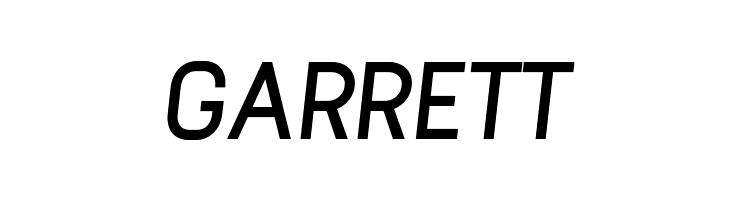 Arvin Bold Italic  Free Fonts Download