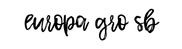 Shamber  Free Fonts Download