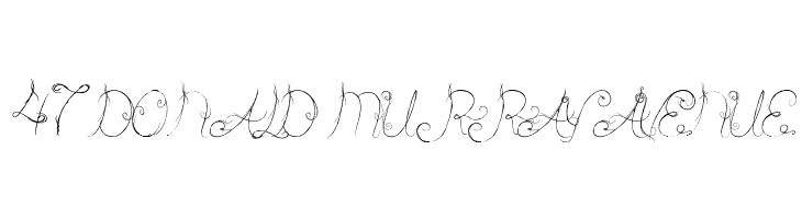 Castle Octopus  Free Fonts Download