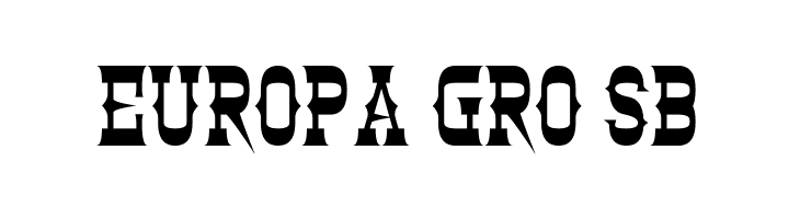 Clintwood  Free Fonts Download