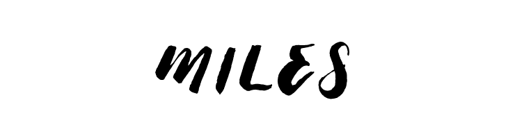 Thick Brush Demo  Free Fonts Download