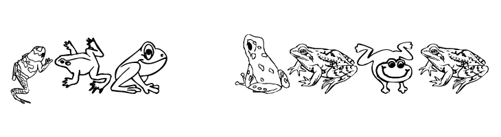 Amphibia  Free Fonts Download