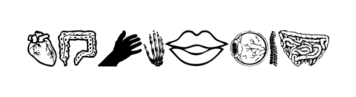 Human Anatomy  Free Fonts Download