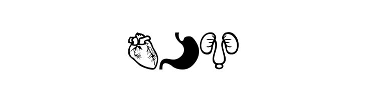 Human Anatomy  Free Fonts Download