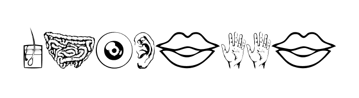 Human Anatomy  Free Fonts Download