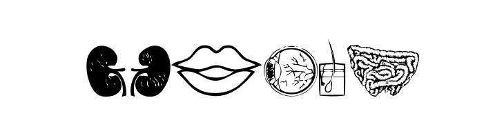 Human Anatomy  Free Fonts Download