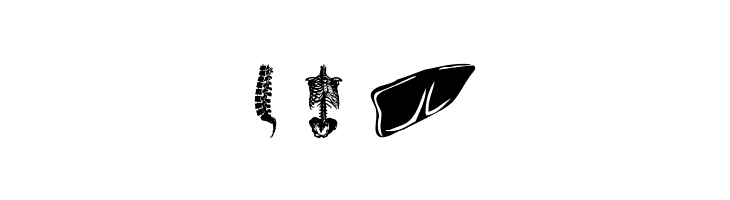Human Anatomy  Free Fonts Download