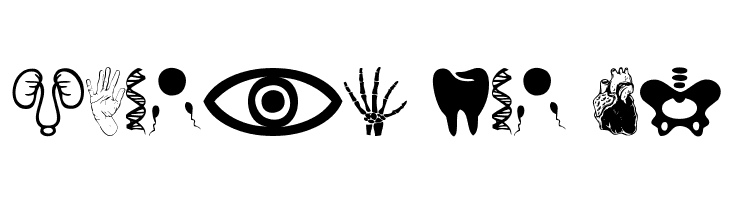 Human Anatomy  Free Fonts Download
