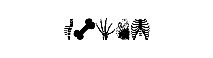 Human Anatomy  Free Fonts Download