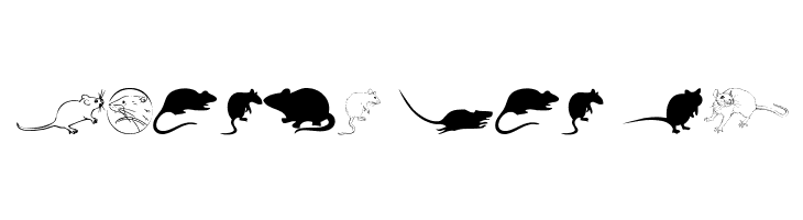 Rats  Free Fonts Download