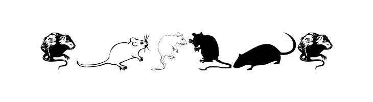 Rats  Free Fonts Download