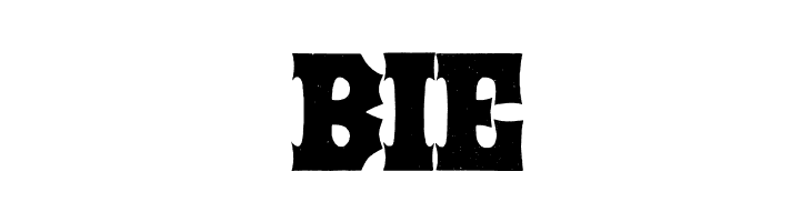 STRONGBOX-Bold  Free Fonts Download