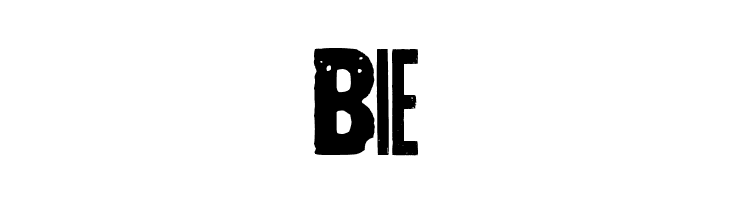 SKTANDDESTROY  Free Fonts Download