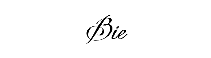 Wedding Nightmares Personal Use Italic  Free Fonts Download