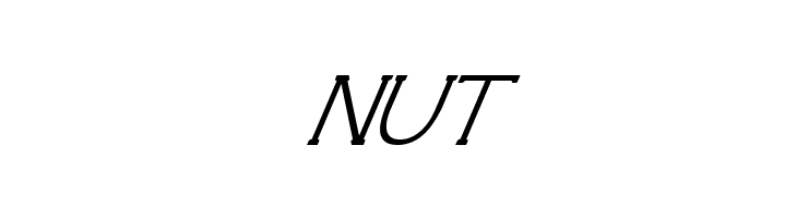 Technically Insane Superitalic  Free Fonts Download