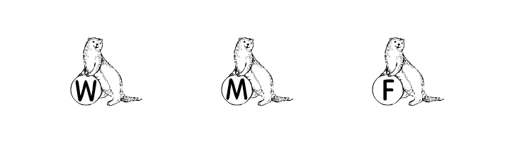 KR A Ferret for Angel  Free Fonts Download