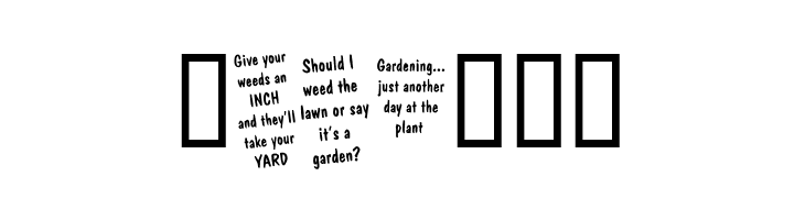 KR Gardenz  Free Fonts Download